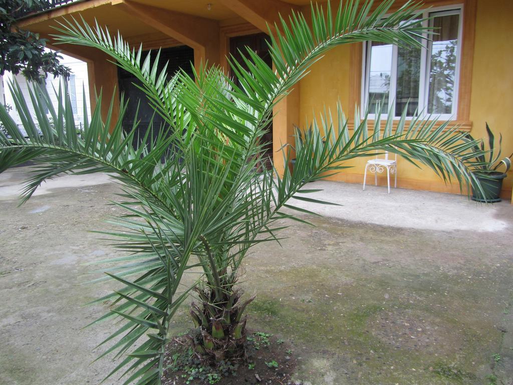 Suliko Guest House Batumi Eksteriør bilde